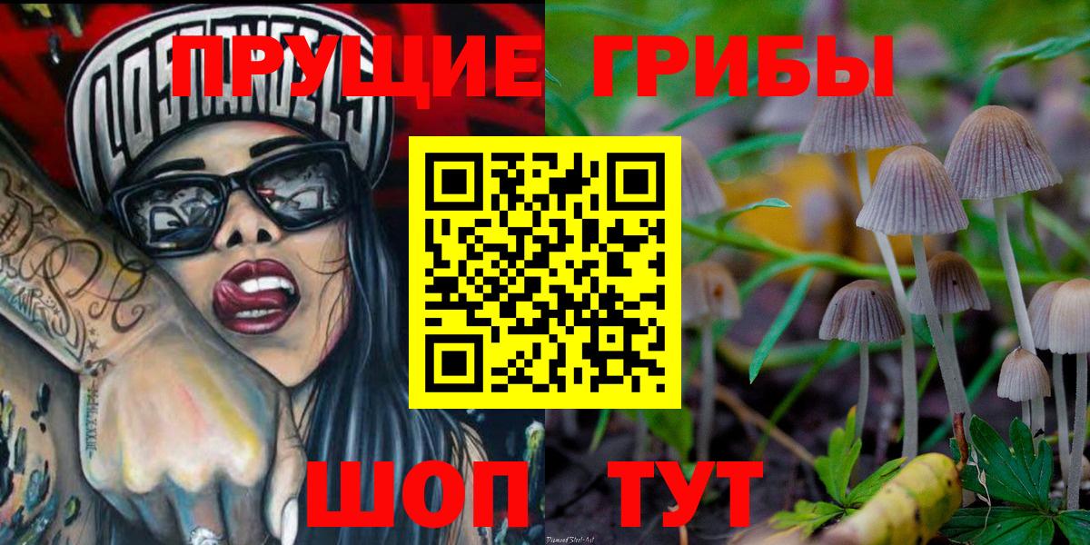 Кимовск  Псилоцибиновые грибы Psilocybe  Вход с VPN 
